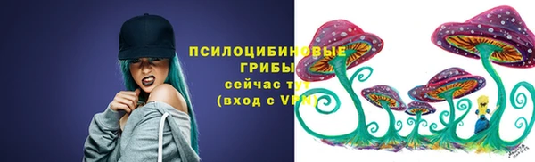 синтетический гашиш Алексеевка