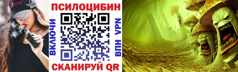 Псилоцибиновые грибы мицелий  Сунжа 